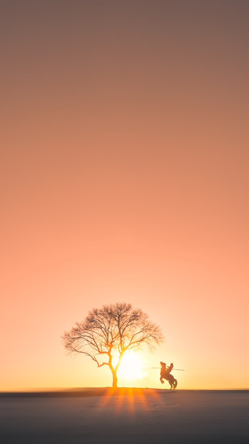 德甲豪门补强中场,目标锁定联赛冠军,德甲豪门降级