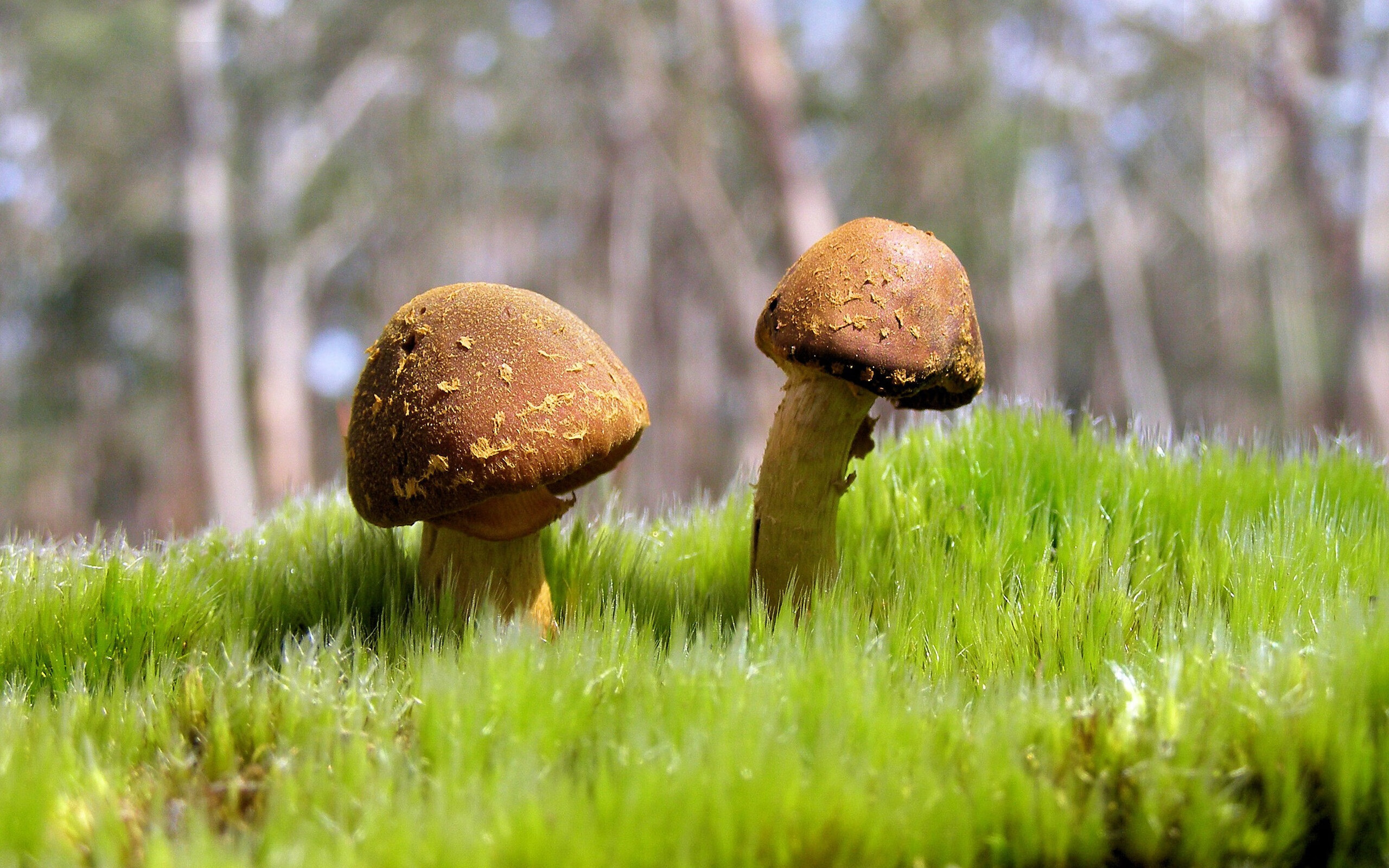 KAIYUNAPP-新兴选手崭露头角，台球运动迎来新力量，新锐台球姿势