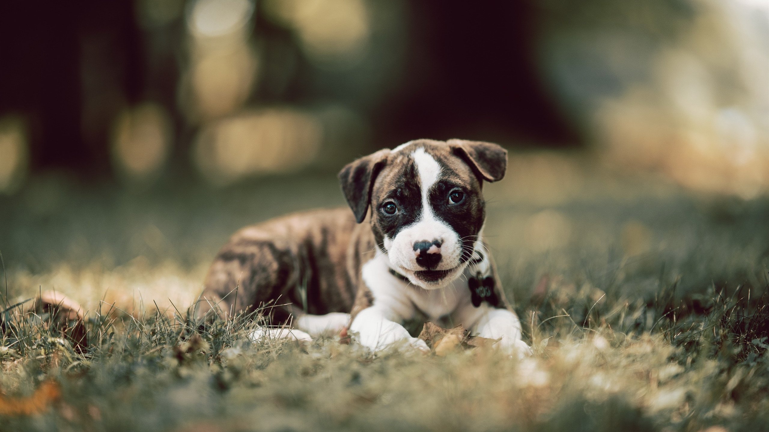 欧冠“传奇球员”的经典瞬间集锦,欧冠最精彩