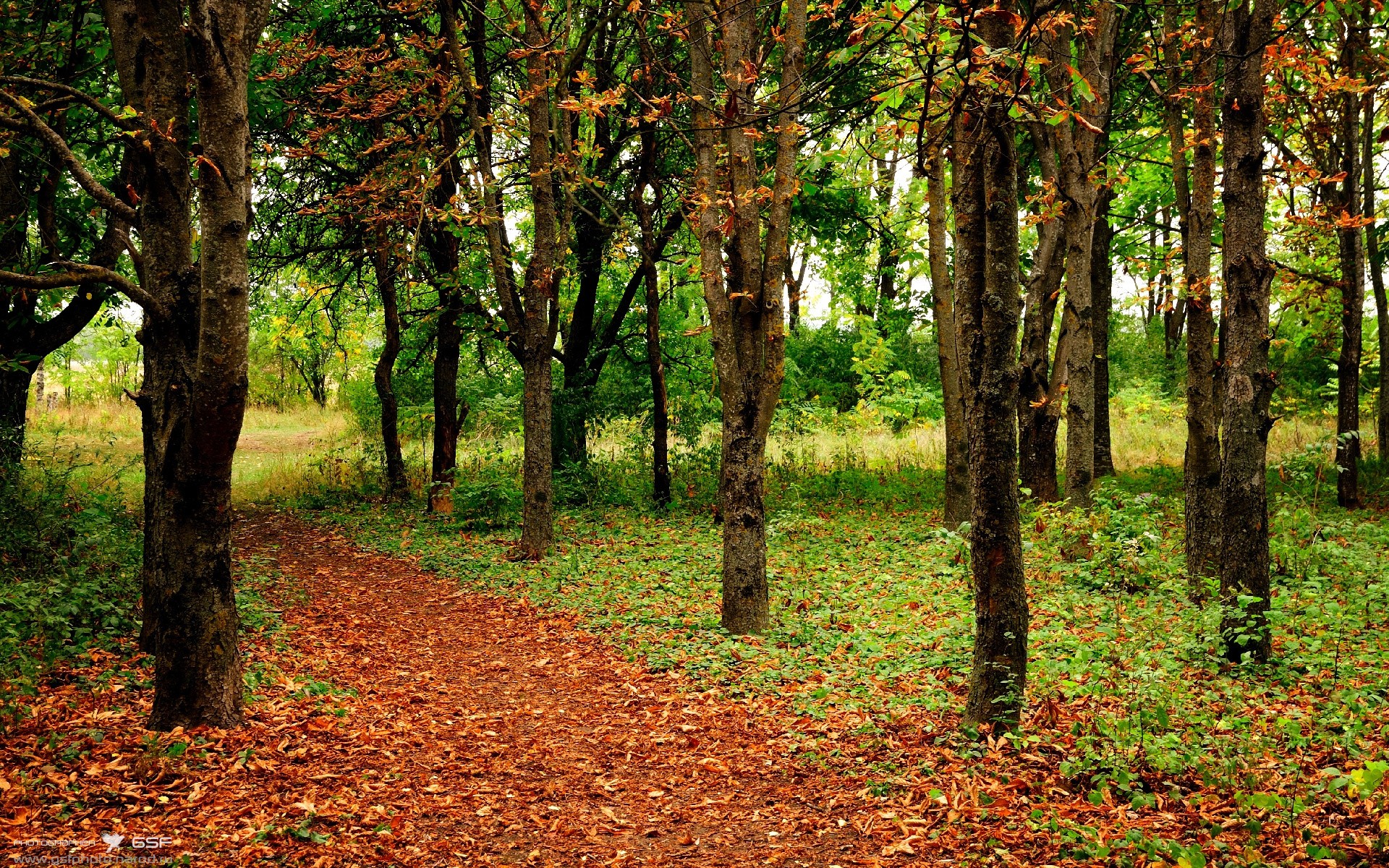 开云网站-特色篮球训练课程迎合多元化需求，特色篮球训练课程迎合多元化需求是什么