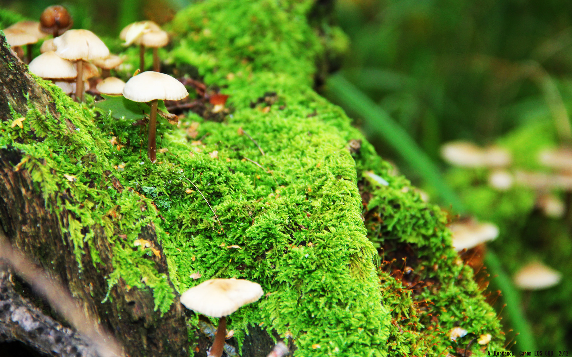 KAIYUNAPP-足球场馆夜间照明标准全国统一，足球场照明灯是什么灯