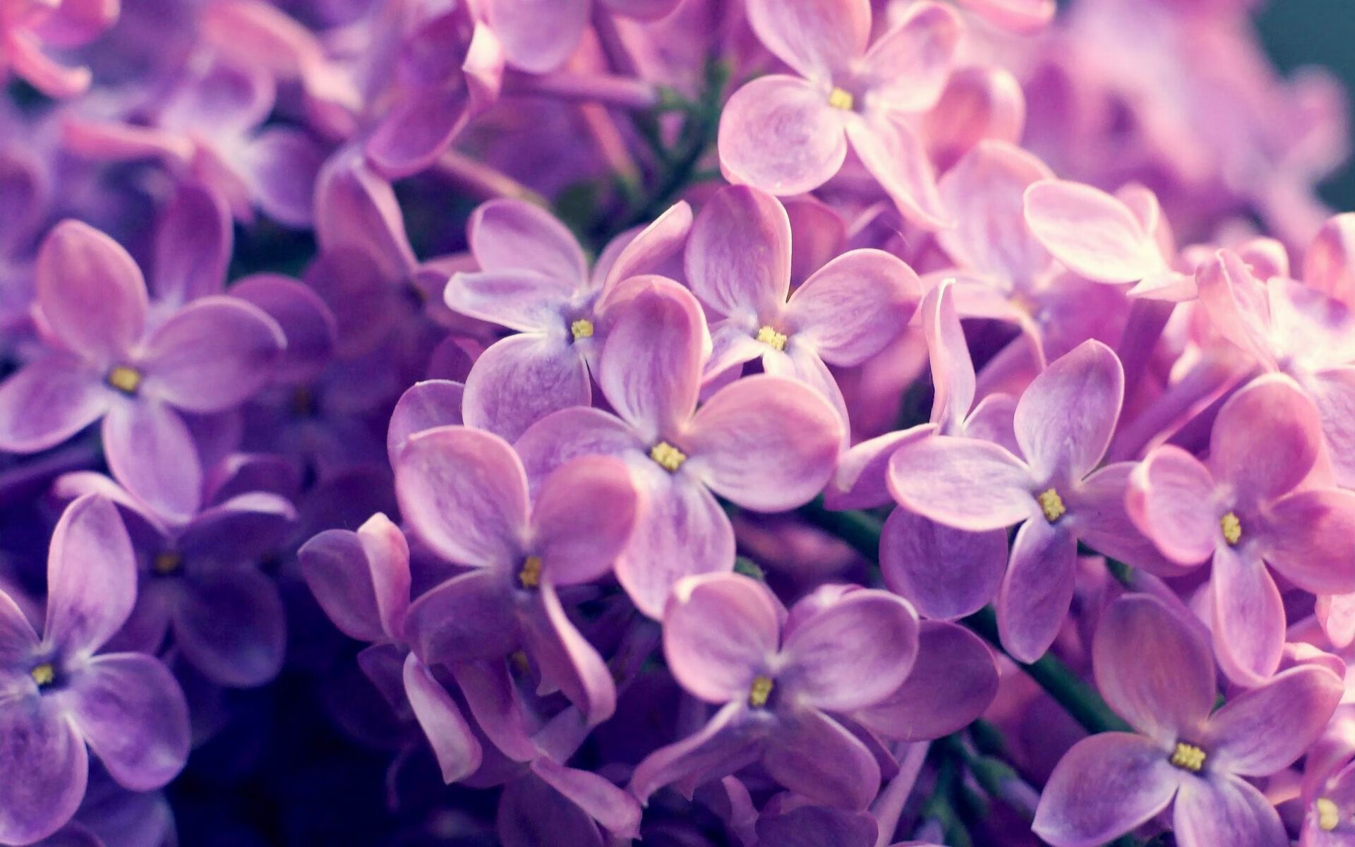 逆境中的队魂:那些战胜一切的球队故事,逆境中的队魂_那些战胜一切的球队故事