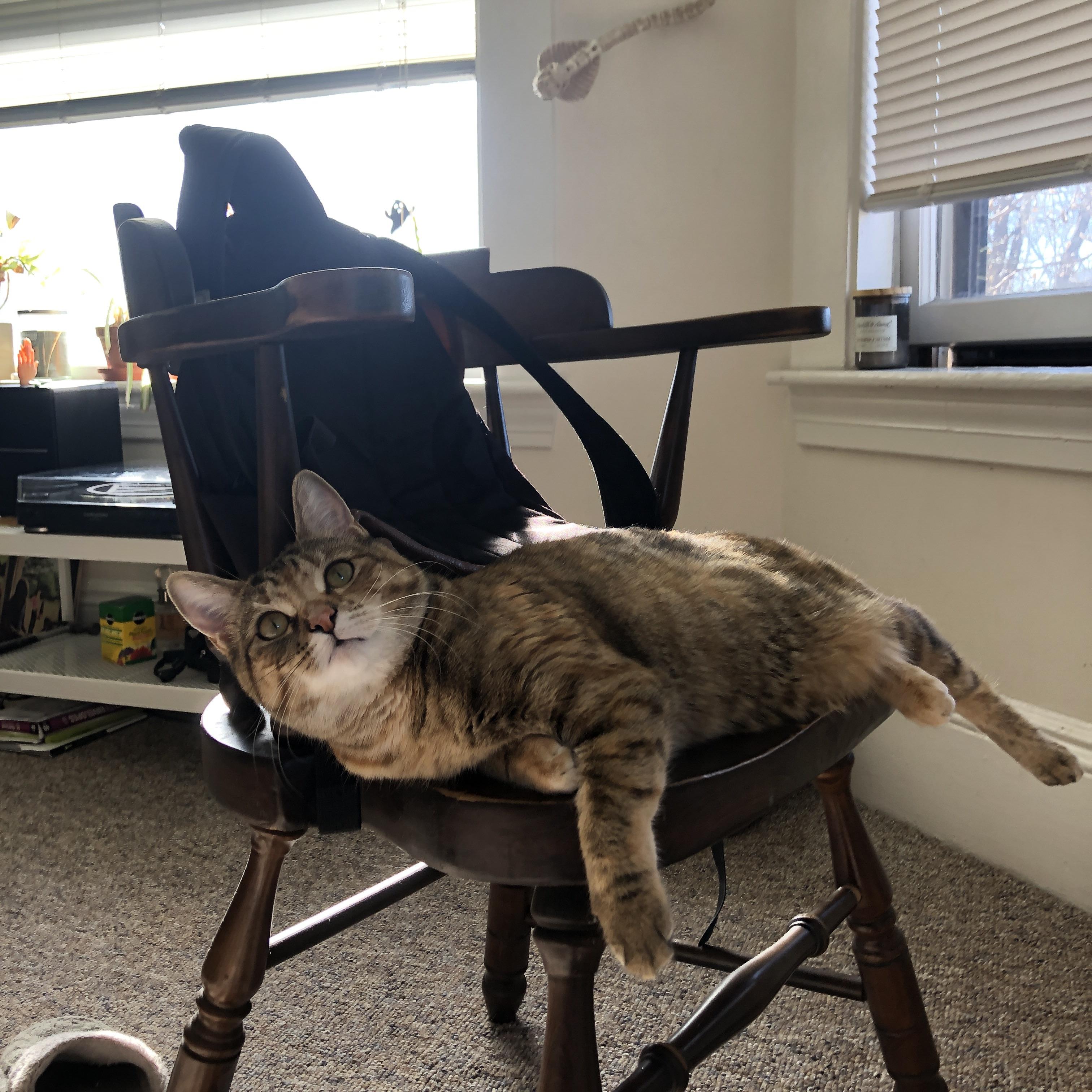 开云体育APP下载-欧洲国家队的热血拼搏，决战的时刻已经来临，欧洲国家队阵容