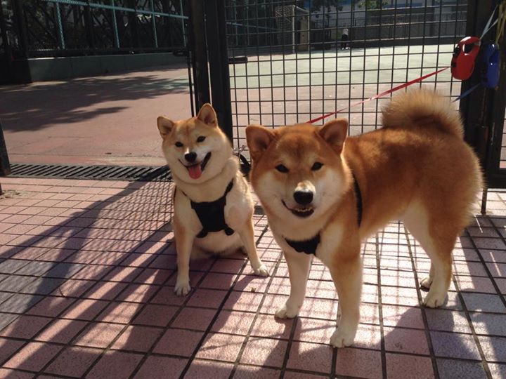 kaiyun中国官方网站-电竞直播内容审核标准制定及执行难点分析，电竞直播内容怎么做