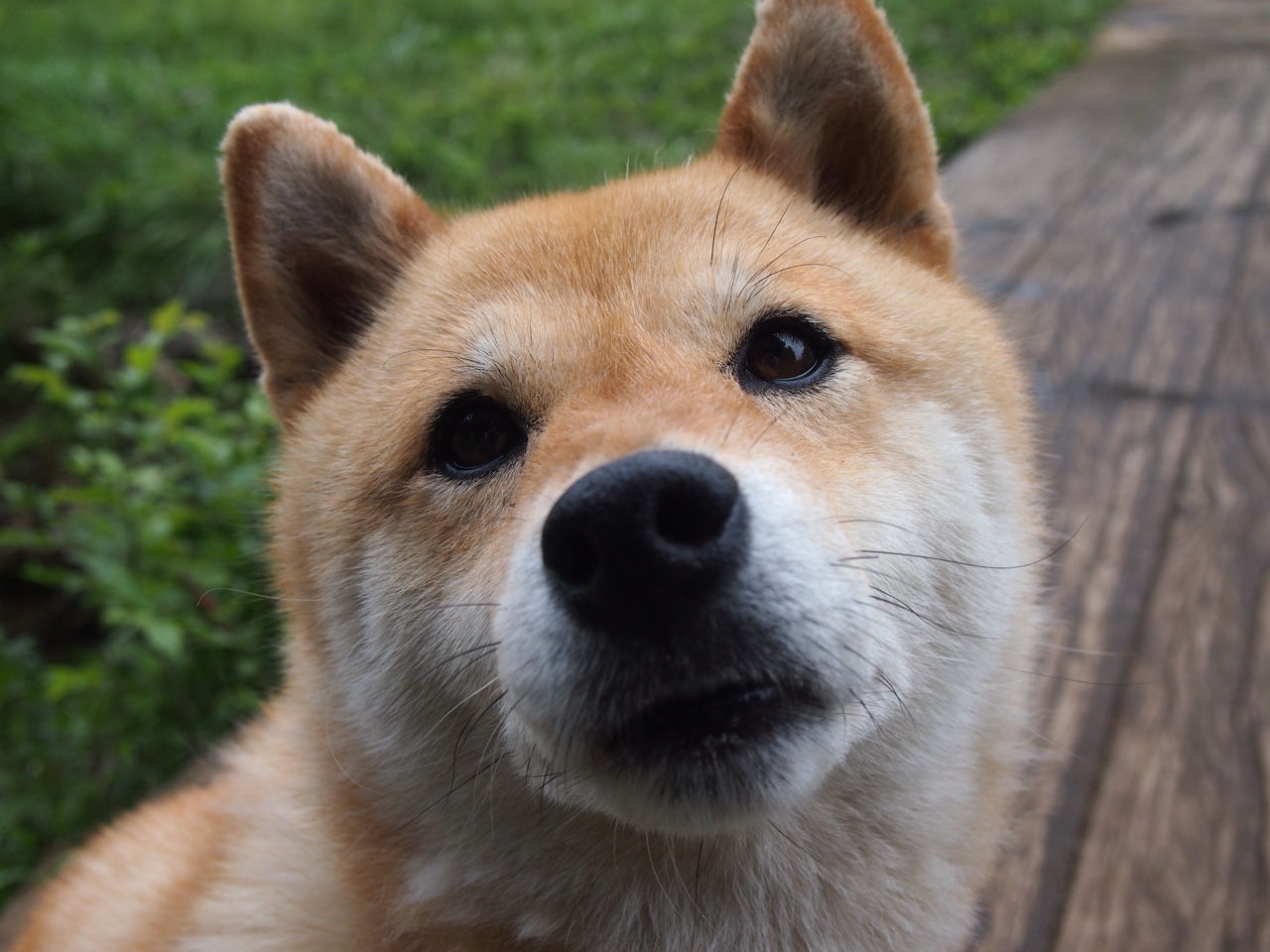 kaiyun中国官方网站-眼界开阔，赛事举办地各异，层出不穷，参加比赛开阔眼界