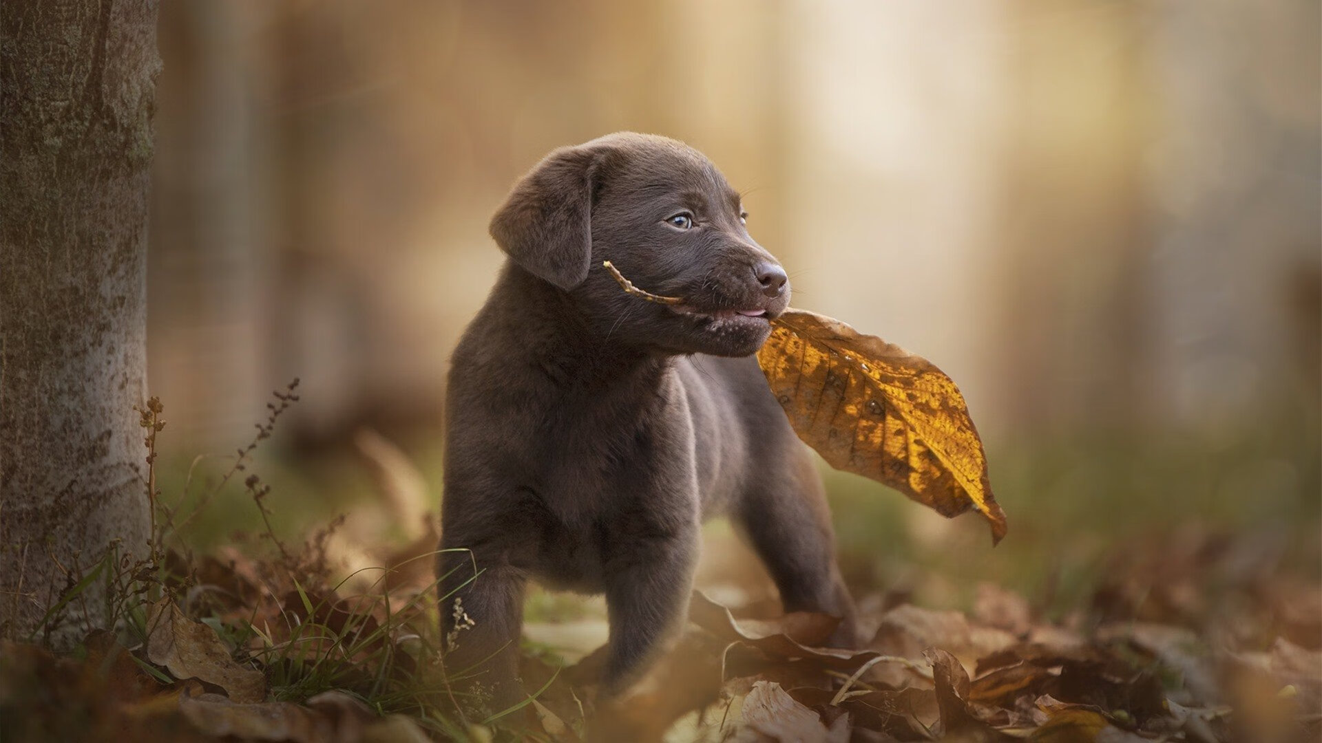眼界开阔,赛事举办地各异,层出不穷,参加比赛开阔眼界