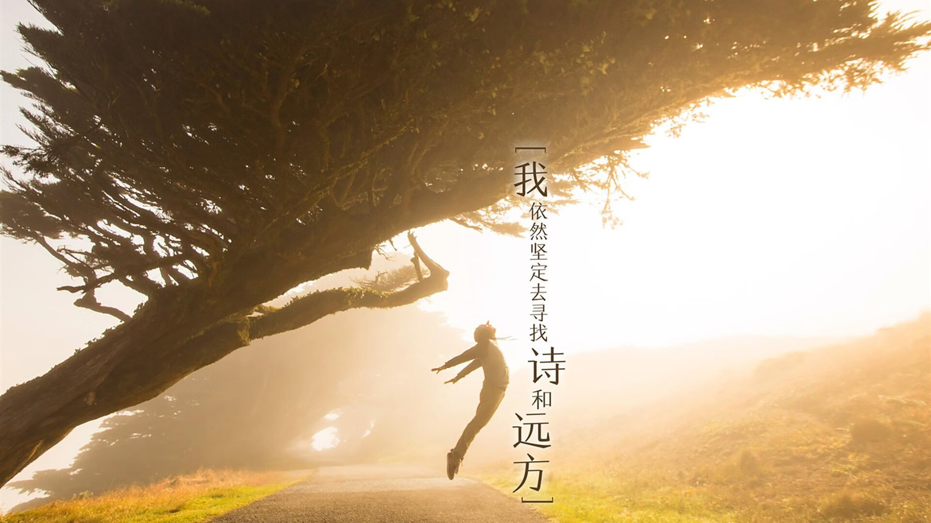 开云·体育官网-第戎客场大胜尼斯，取得关键胜利，第戎赛道