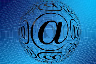 开云中国大陆-中国篮球职业联赛青训体系创新发展模式分析，中国青年篮球队