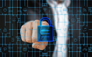 开云网页版-体育特许经营管理制度构建与案例研究，体育行业特有职业培训试点单位