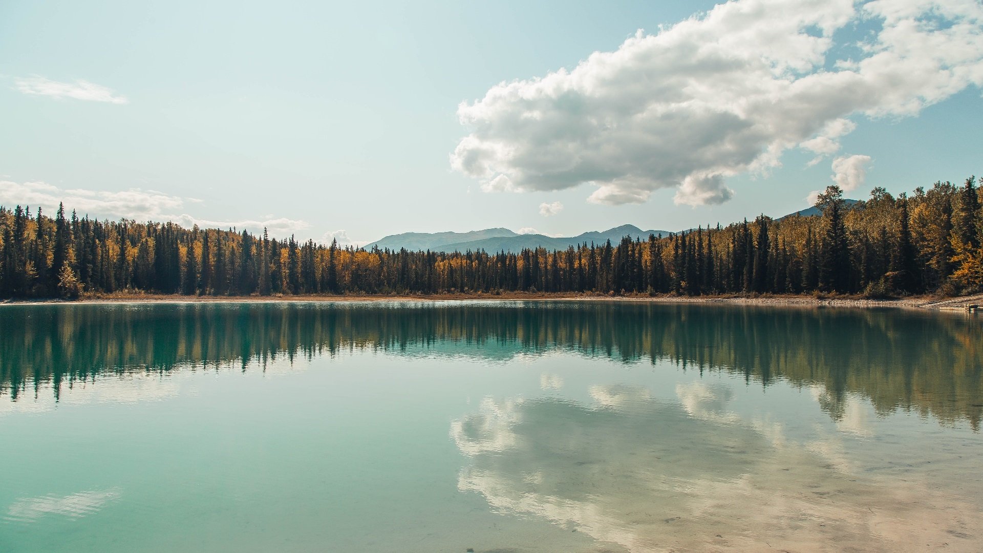 西甲“榜首之争”:巴萨与皇马的焦点对决