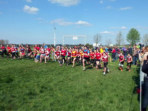 开云·体育官网-青少年体育活动参与动机分析与提升，青少年体育活动参与动机分析与提升研究