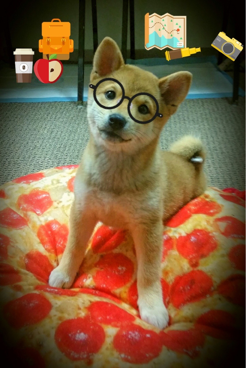 开云入口-世界杯激情夜：精彩瞬间引爆全场！，世界杯锦集视频