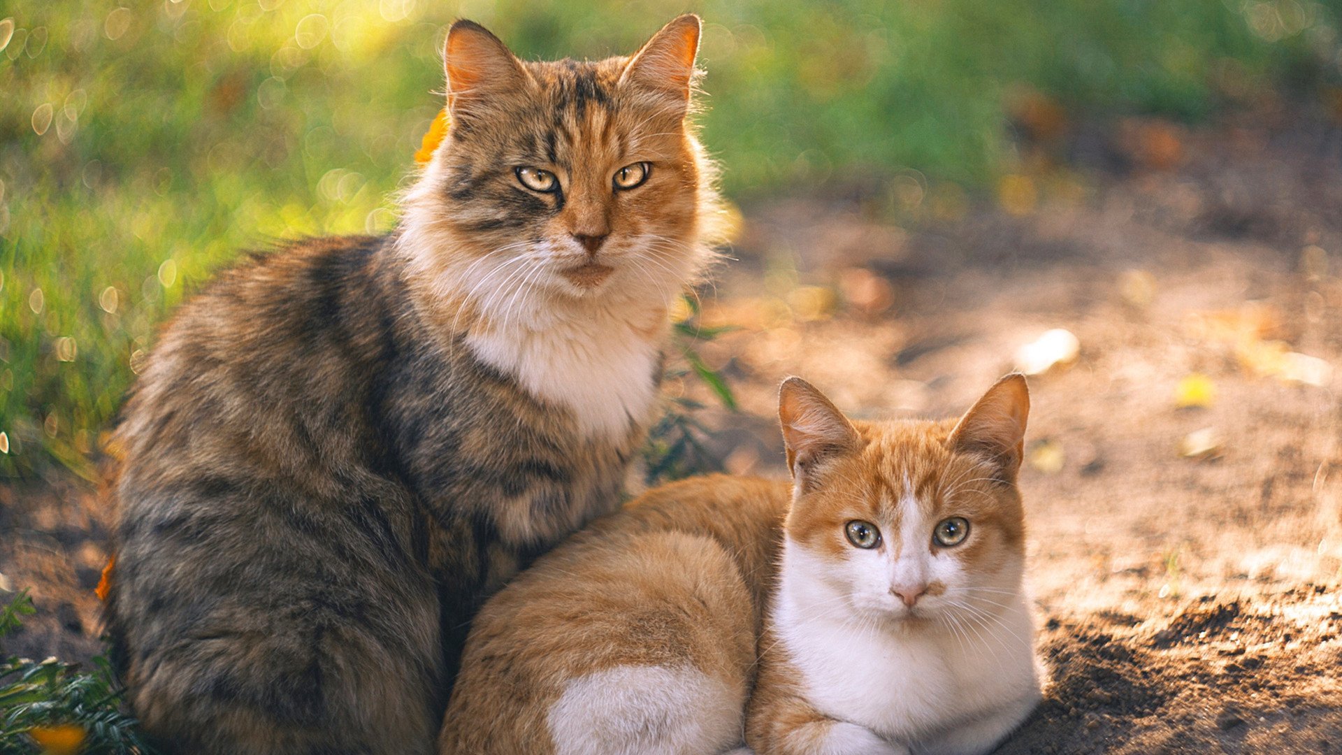 Kaiyun(中国)开云-球员个人品牌建设加强，商业代言成收入新来源，每个球星代言的品牌