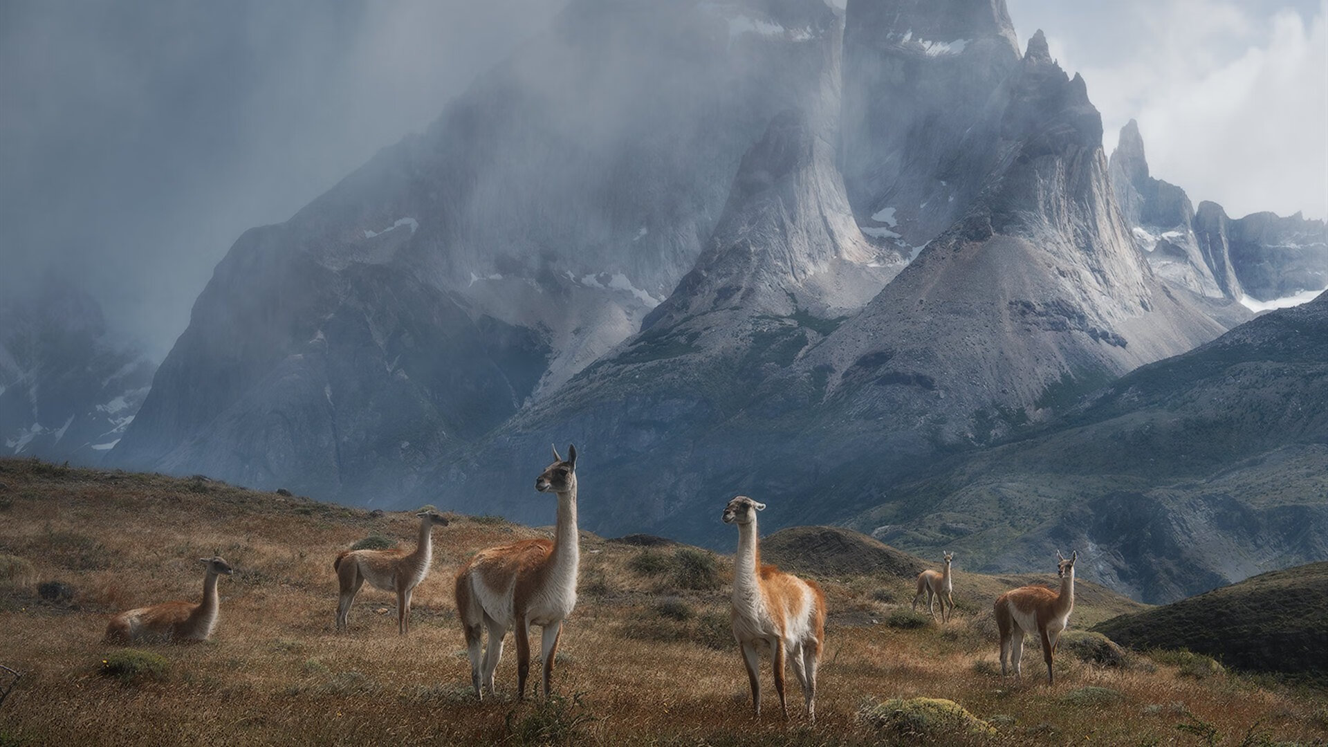 长距离奔袭诞生经典画面，长距离跑有哪些项目